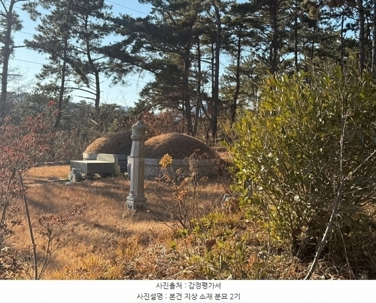 2024타경6941 부산광역시 기장군 장안읍 반룡리 산30-1 임야 경매 이미지