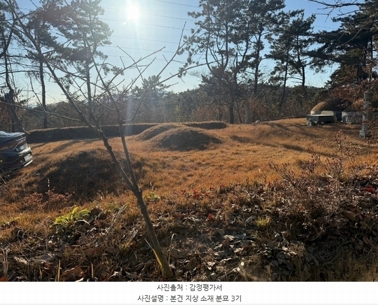 2024타경6941 부산광역시 기장군 장안읍 반룡리 산30-1 임야 경매 이미지