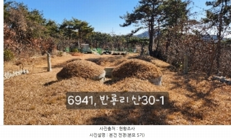 2024타경6941 부산광역시 기장군 장안읍 반룡리 산30-1 임야 경매 이미지