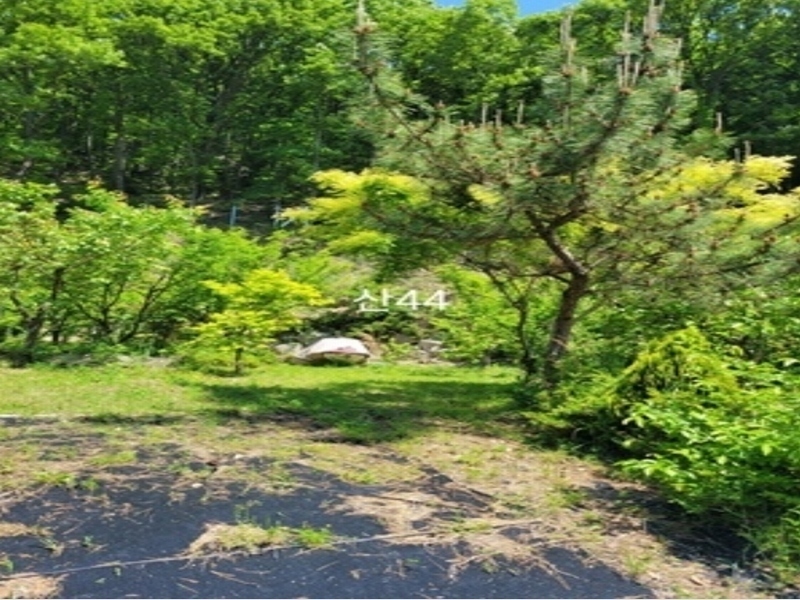2024타경104081 부산광역시 기장군 장안읍 용소리 산44 임야 경매 이미지