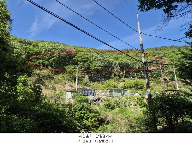 2024타경104081 부산광역시 기장군 장안읍 용소리 산44 임야 경매 이미지