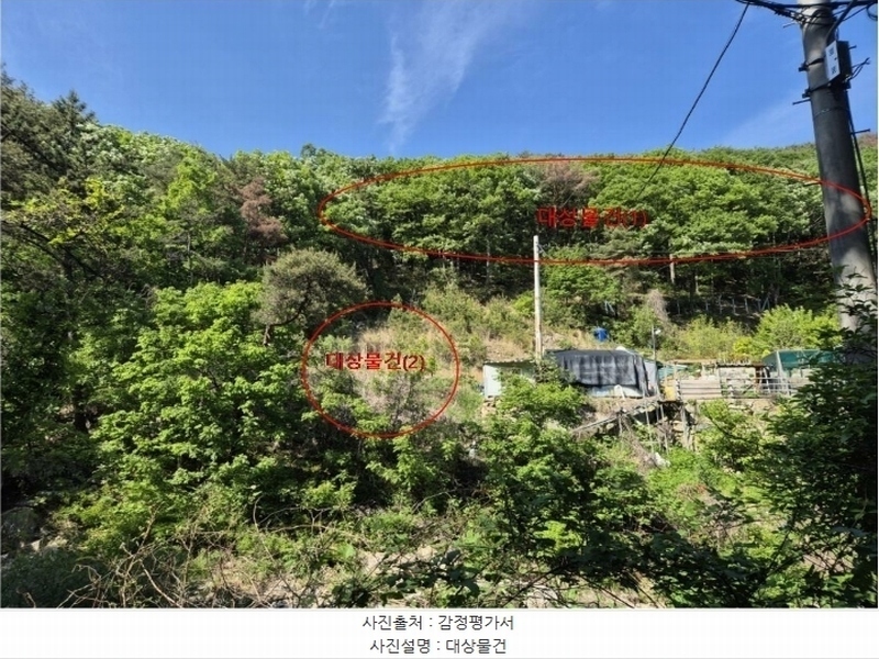 2024타경104081 부산광역시 기장군 장안읍 용소리 산44 임야 경매 이미지