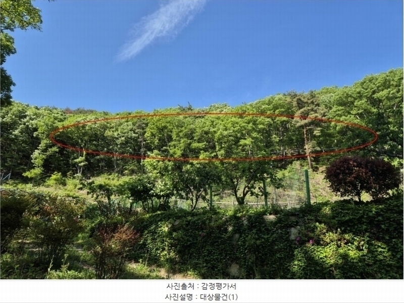 2024타경104081 부산광역시 기장군 장안읍 용소리 산44 임야 경매 이미지