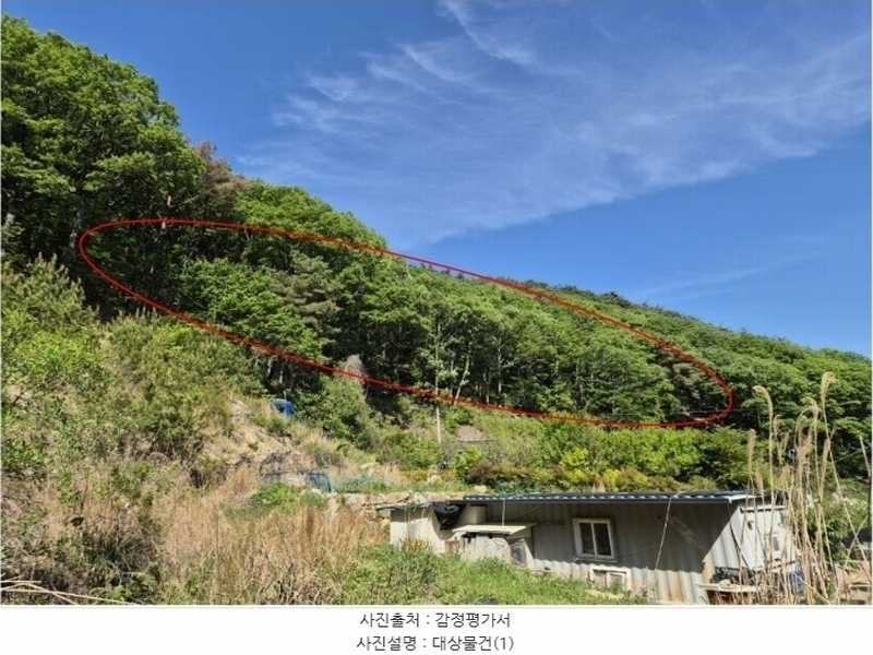 2024타경104081 부산광역시 기장군 장안읍 용소리 산44 임야 경매 이미지