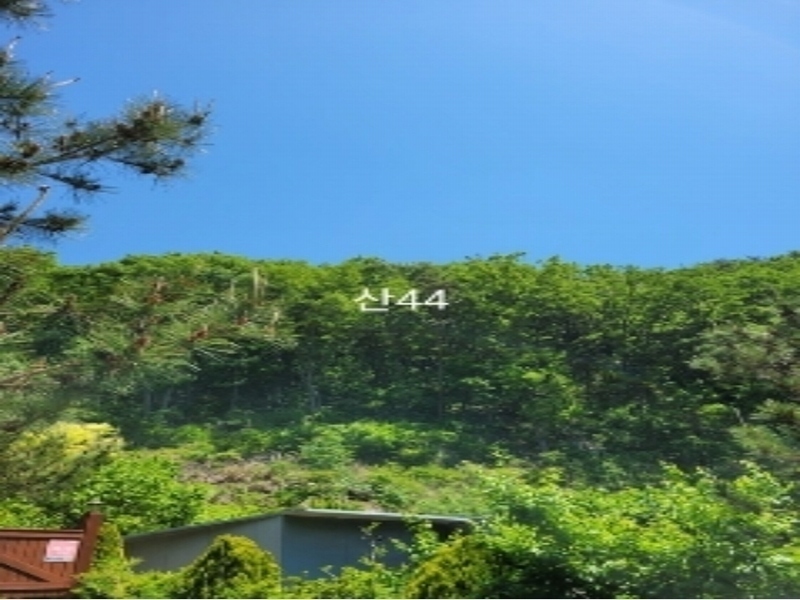2024타경104081 부산광역시 기장군 장안읍 용소리 산44 임야 경매 이미지