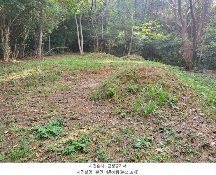 2024타경111119 부산광역시 기장군 기장읍 석산리 산11-5 임야 경매 이미지