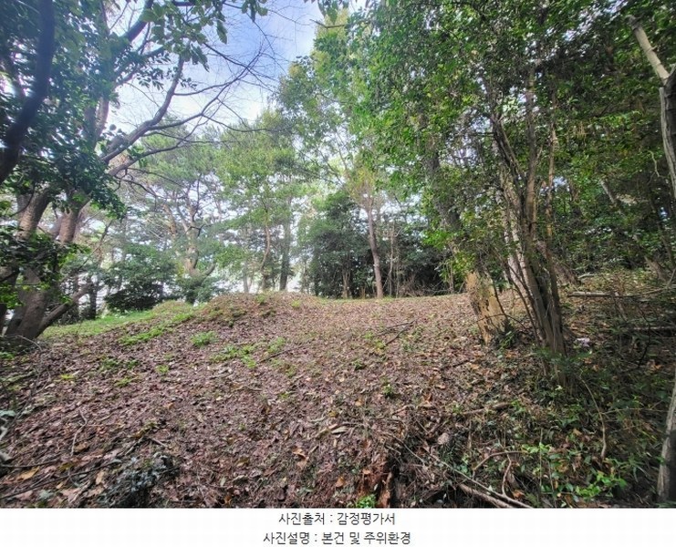 2024타경111119 부산광역시 기장군 기장읍 석산리 산11-5 임야 경매 이미지