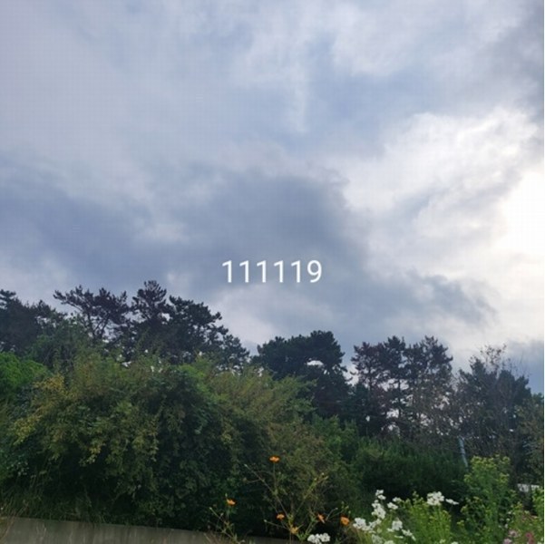 2024타경111119 부산광역시 기장군 기장읍 석산리 산11-5 임야 경매 이미지