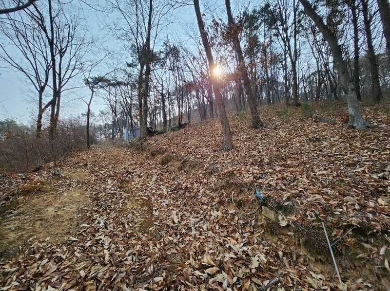 2024타경113627 부산광역시 기장군 장안읍 용소리 산138-25 임야 경매 이미지