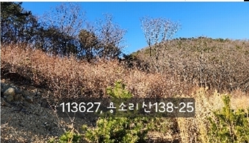 2024타경113627 부산광역시 기장군 장안읍 용소리 산138-25 임야 경매 이미지