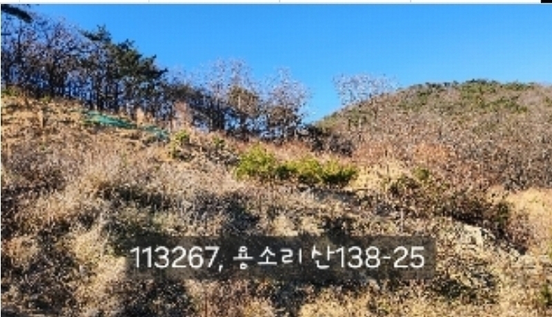 2024타경113627 부산광역시 기장군 장안읍 용소리 산138-25 임야 경매 이미지