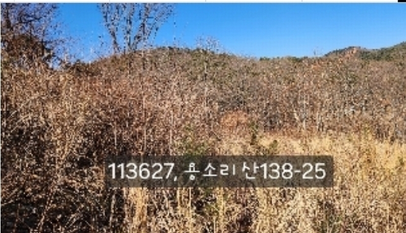 2024타경113627 부산광역시 기장군 장안읍 용소리 산138-25 임야 경매 이미지