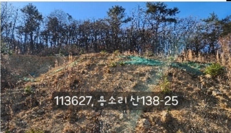 2024타경113627 부산광역시 기장군 장안읍 용소리 산138-25 임야 경매 이미지