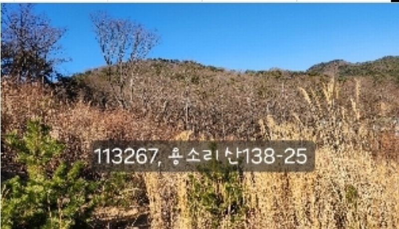 2024타경113627 부산광역시 기장군 장안읍 용소리 산138-25 임야 경매 이미지
