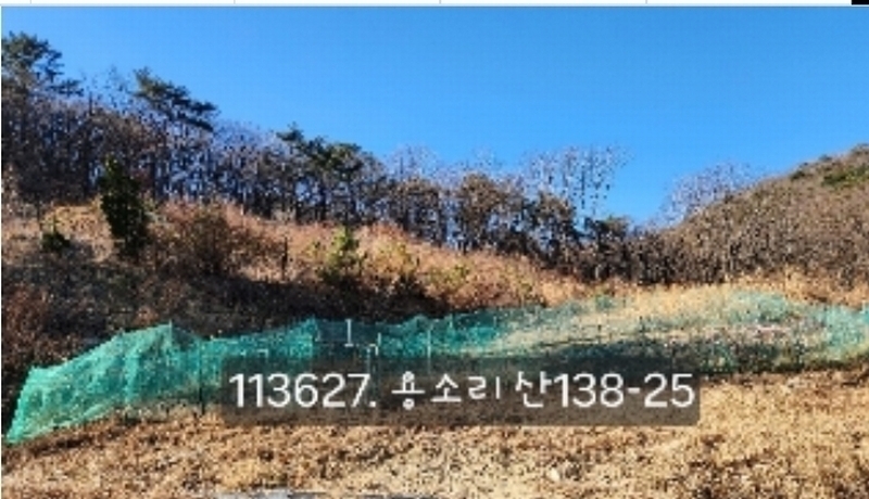 2024타경113627 부산광역시 기장군 장안읍 용소리 산138-25 임야 경매 이미지