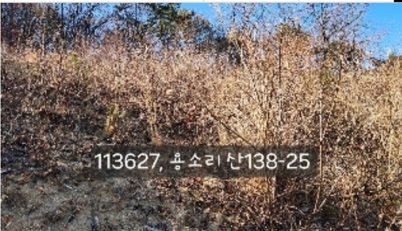 2024타경113627 부산광역시 기장군 장안읍 용소리 산138-25 임야 경매 이미지