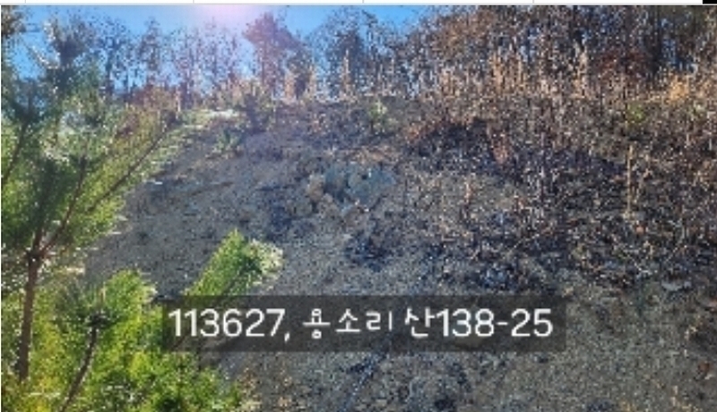 2024타경113627 부산광역시 기장군 장안읍 용소리 산138-25 임야 경매 이미지