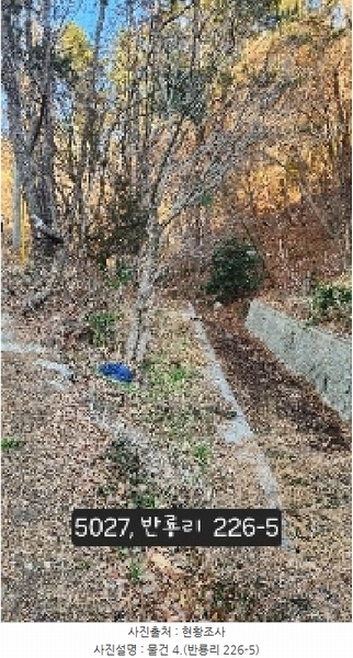 2025타경5027 부산광역시 기장군 장안읍 반룡리 226-1 임야 경매 이미지
