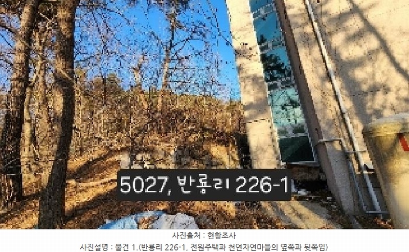 2025타경5027 부산광역시 기장군 장안읍 반룡리 226-1 임야 경매 이미지