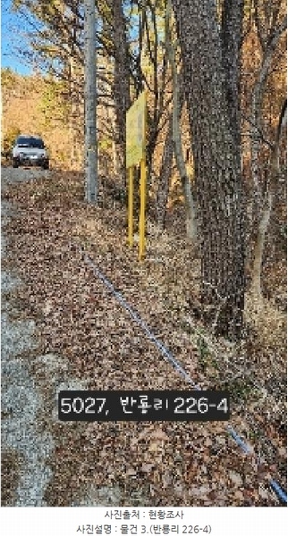 2025타경5027 부산광역시 기장군 장안읍 반룡리 226-1 임야 경매 이미지