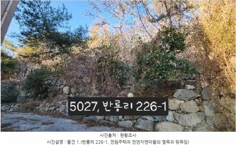2025타경5027 부산광역시 기장군 장안읍 반룡리 226-1 임야 경매 이미지