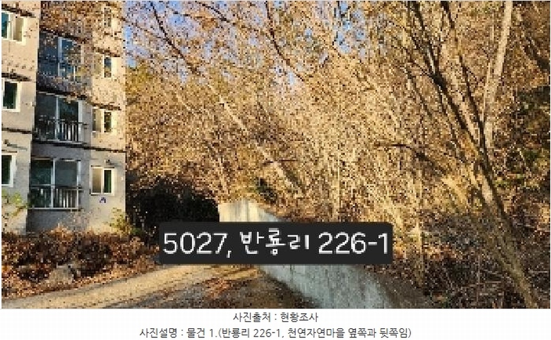 2025타경5027 부산광역시 기장군 장안읍 반룡리 226-1 임야 경매 이미지