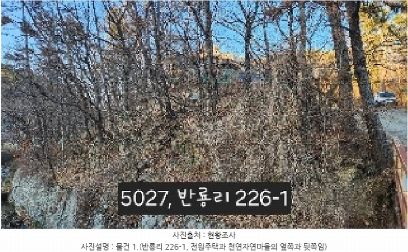 2025타경5027 부산광역시 기장군 장안읍 반룡리 226-1 임야 경매 이미지