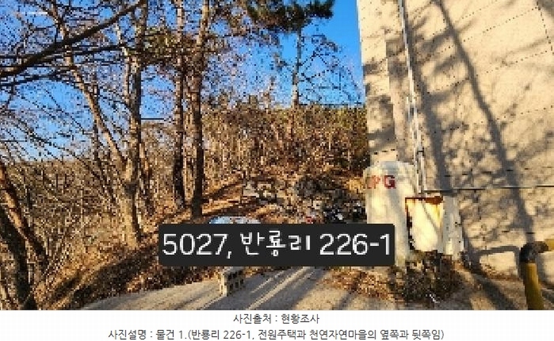 2025타경5027 부산광역시 기장군 장안읍 반룡리 226-1 임야 경매 이미지