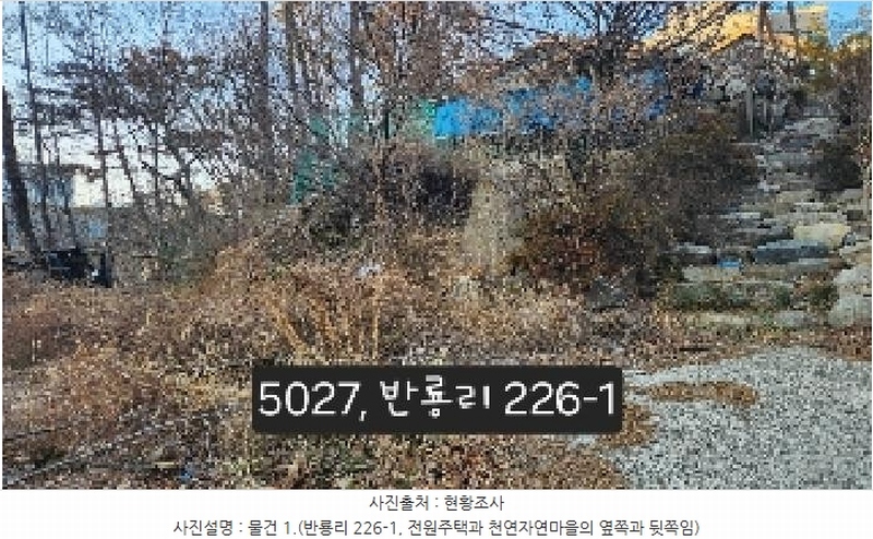 2025타경5027 부산광역시 기장군 장안읍 반룡리 226-1 임야 경매 이미지