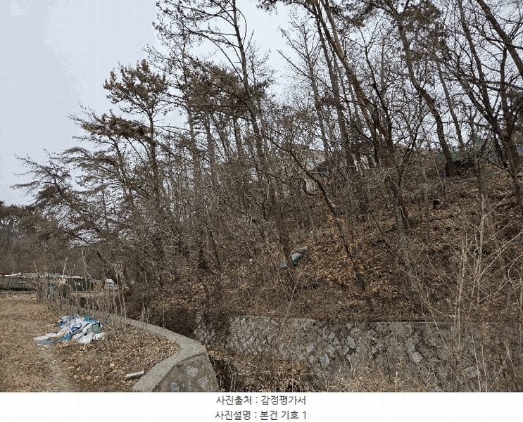 2025타경5027 부산광역시 기장군 장안읍 반룡리 226-1 임야 경매 이미지