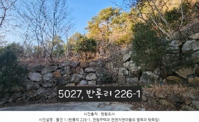 2025타경5027 부산광역시 기장군 장안읍 반룡리 226-1 임야 경매 이미지