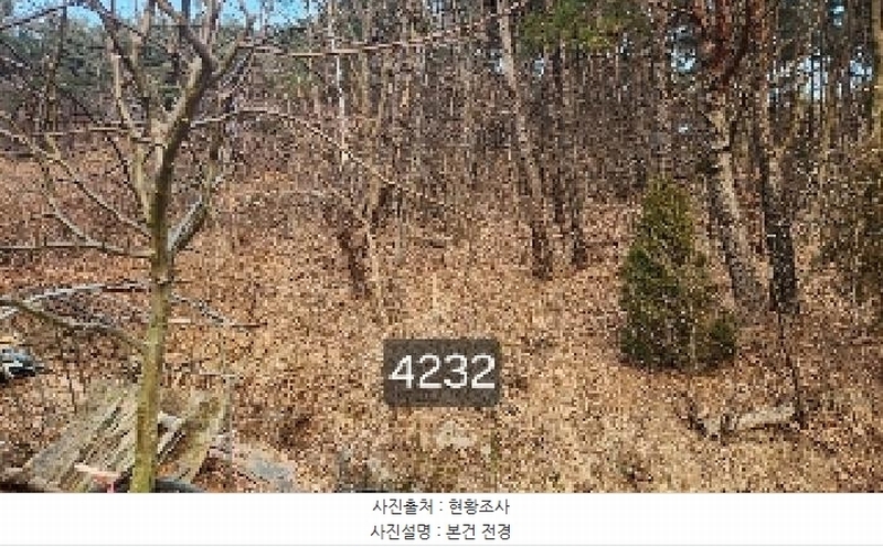 2025타경4232 부산광역시 기장군 장안읍 덕선리 478 임야 경매 이미지