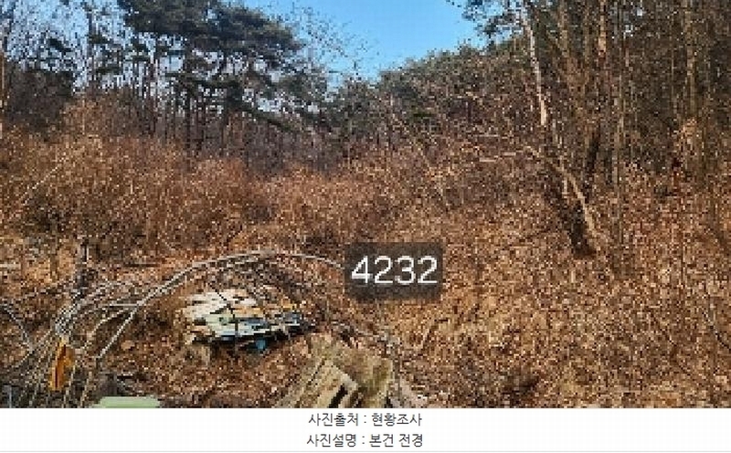 2025타경4232 부산광역시 기장군 장안읍 덕선리 478 임야 경매 이미지