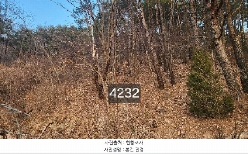 2025타경4232 부산광역시 기장군 장안읍 덕선리 478 임야 경매 이미지