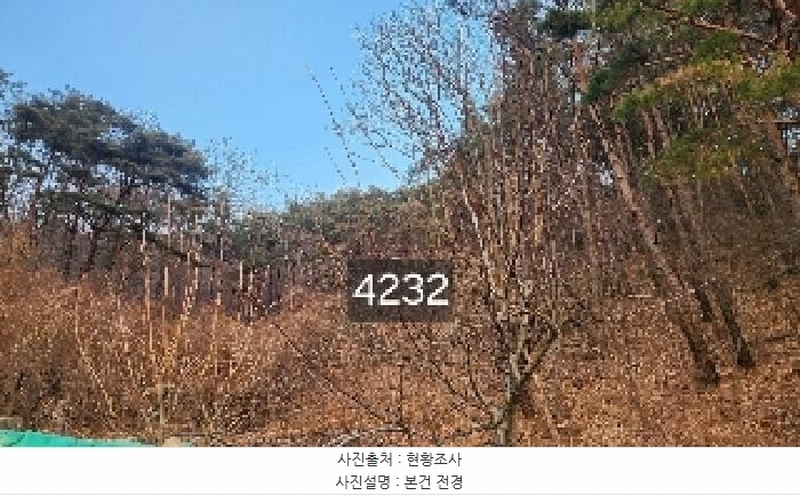 2025타경4232 부산광역시 기장군 장안읍 덕선리 478 임야 경매 이미지
