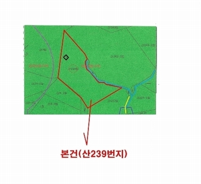 2024타경106137 부산광역시 북구 만덕동 산239 임야 경매 이미지