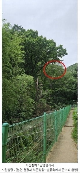 2024타경106137 부산광역시 북구 만덕동 산239 임야 경매 이미지
