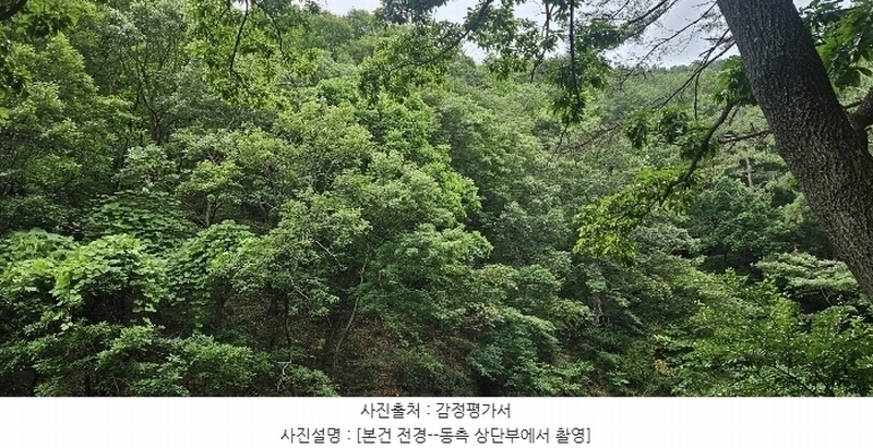 2024타경106137 부산광역시 북구 만덕동 산239 임야 경매 이미지