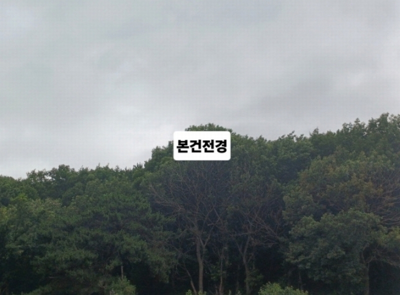 2024타경106137 부산광역시 북구 만덕동 산239 임야 경매 이미지
