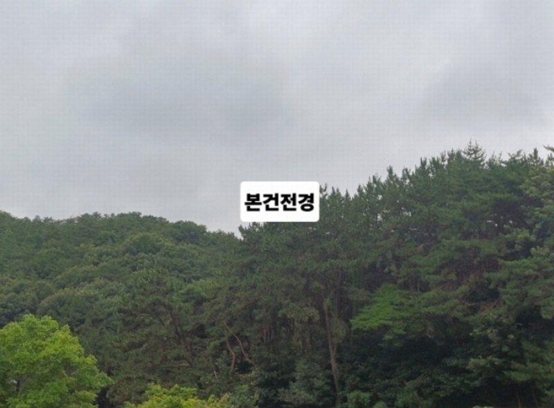 2024타경106137 부산광역시 북구 만덕동 산239 임야 경매 이미지