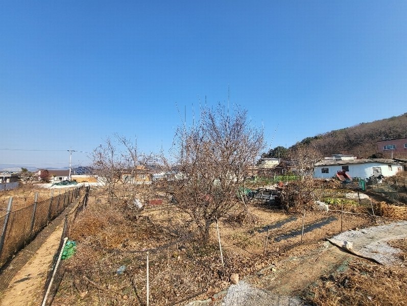2025타경100044 부산광역시 강서구 동선동 126 농지 경매 이미지