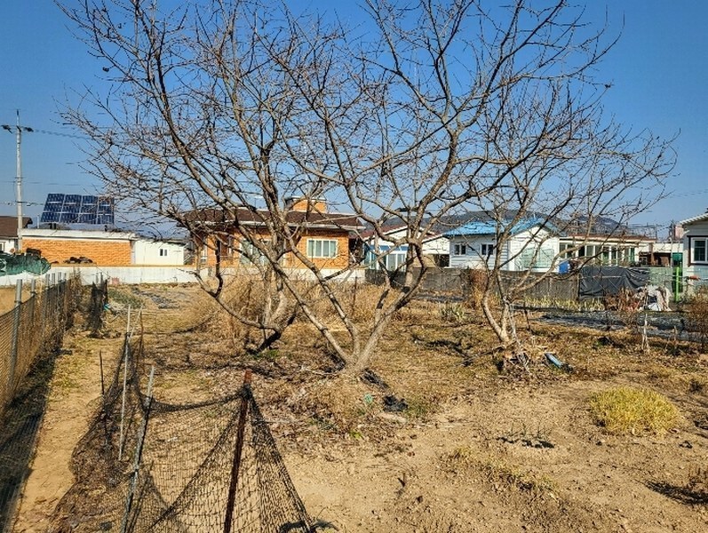 2025타경100044 부산광역시 강서구 동선동 126 농지 경매 이미지