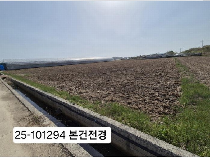 2025타경101294 부산광역시 강서구 죽동동 495-9 농지 경매 이미지