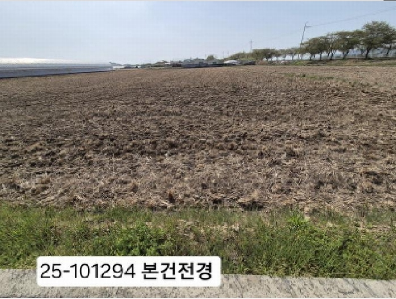 2025타경101294 부산광역시 강서구 죽동동 495-9 농지 경매 이미지