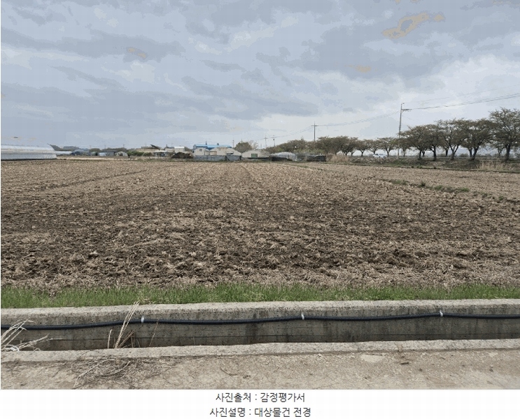 2025타경101294 부산광역시 강서구 죽동동 495-9 농지 경매 이미지