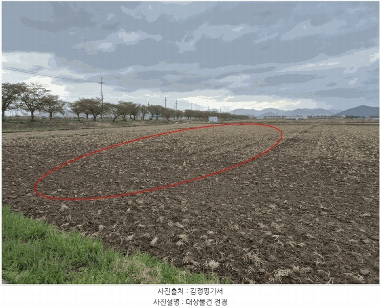 2025타경101294 부산광역시 강서구 죽동동 495-9 농지 경매 이미지