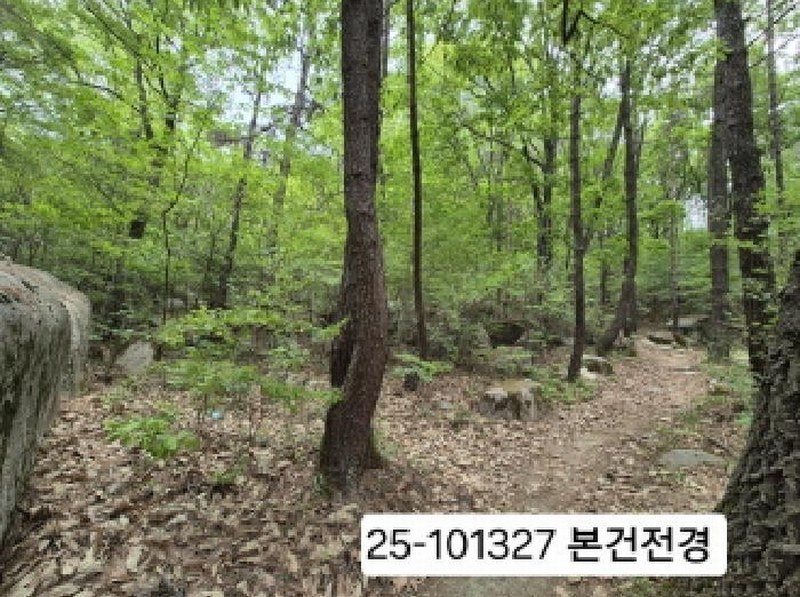 2025타경101327 부산광역시 북구 금곡동 산15 임야 경매 이미지