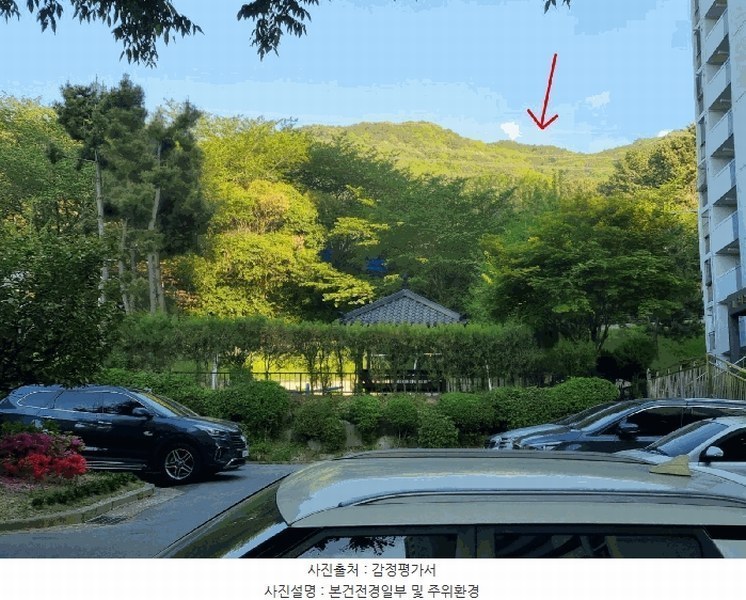 2025타경101327 부산광역시 북구 금곡동 산15 임야 경매 이미지