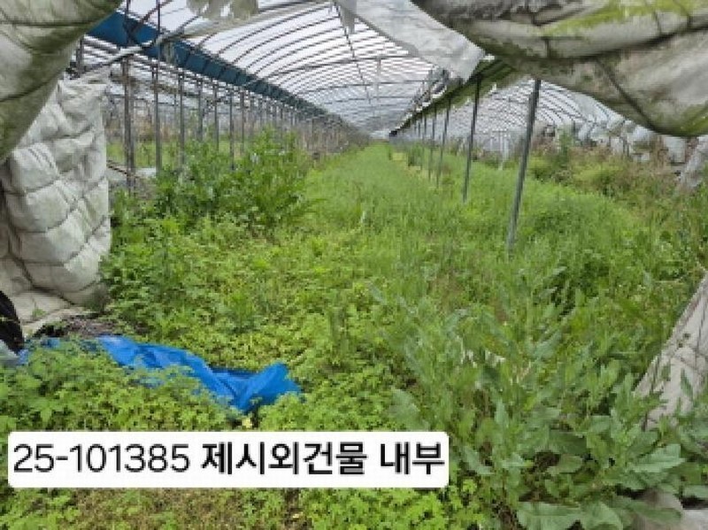 2025타경101385 부산광역시 강서구 강동동 3533 농지 경매 이미지