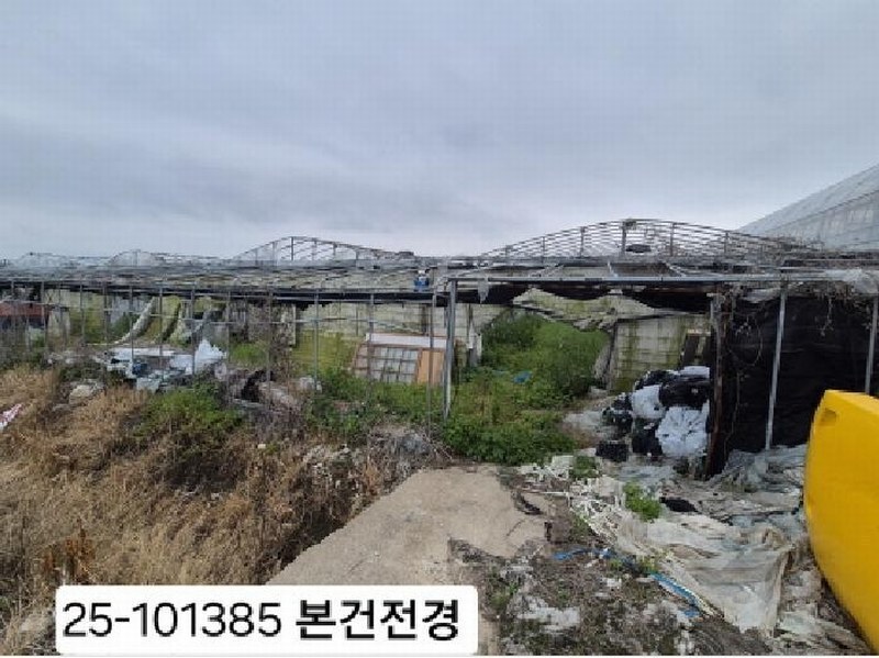 2025타경101385 부산광역시 강서구 강동동 3533 농지 경매 이미지